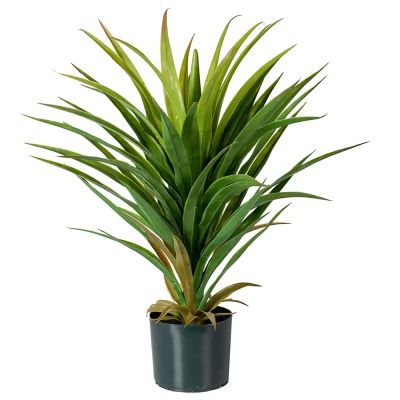 Mr Plant, Jukka Huonekasvi 70 cm | Alk. 58,00 €
