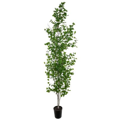 Mr Plant, Koivu Puu 300 cm | Alk. 1 116,00 €