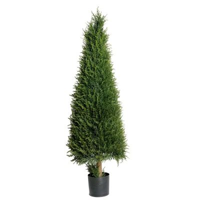 Mr Plant, Kuusipuu 110 cm