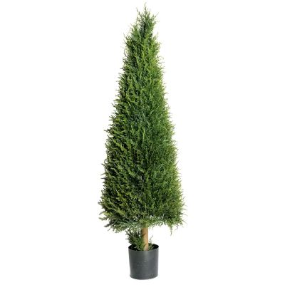 Mr Plant, Kuusipuu 165 cm | Alk. 567,00 €