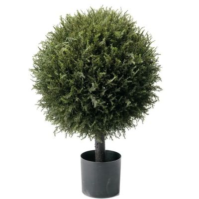 Mr Plant, Kuusipuu 70 cm | Alk. 220,00 €
