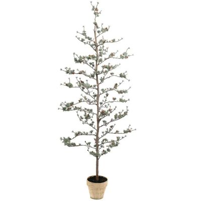 Mr Plant, Lehtikuusi 180 cm | Alk. 258,00 €