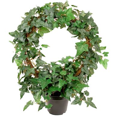 Mr Plant, Muratti 45 cm | Alk. 80,00 €