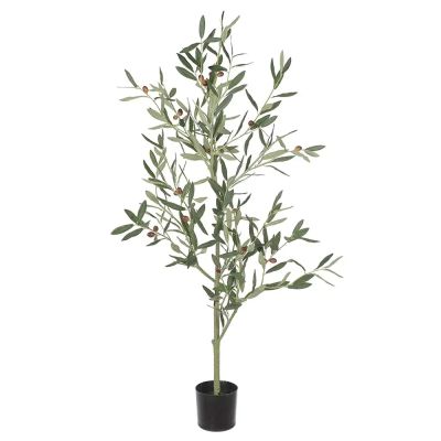 Mr Plant, Oliivipuu 120 cm | Alk. 110,00 €