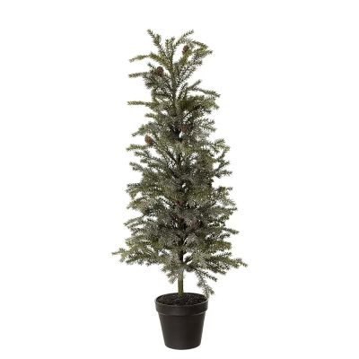 Mr Plant, Pakkaskuusi 70 cm | Alk. 57,00 €