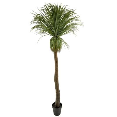 Mr Plant, Pullo lilja 220 cm | Alk. 650,00 €