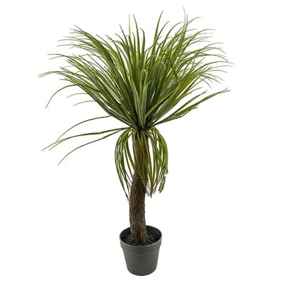 Mr Plant, Pullo lilja 90 cm
