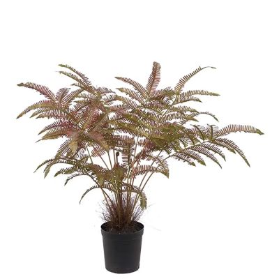 Mr Plant, Saniaiset 70 cm