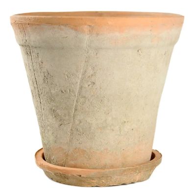 Mr Plant, Saviastia 28 cm | Alk. 64,00 €