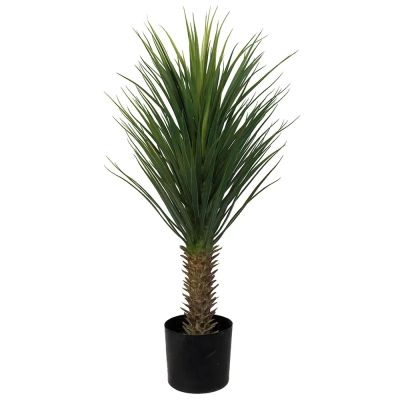 Mr Plant, Yucca Rostrata Puu 100 cm