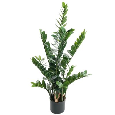 Mr Plant, Zamifolia Huonekasvi 110 cm | Alk. 115,00 €