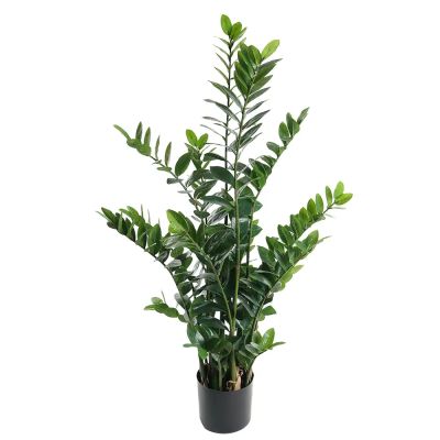 Mr Plant, Zamifolia Huonekasvi 130 cm | Alk. 162,00 €