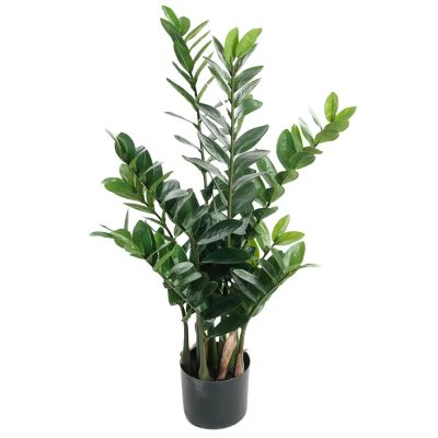 Mr Plant, Zamifolia Huonekasvi 90 cm | Alk. 73,00 €