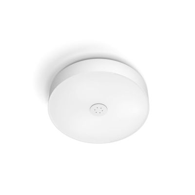 Philips Hue - Fair Hue Kattovalaisin White Amb. White Phillips Hue | Alk. 259,00 €