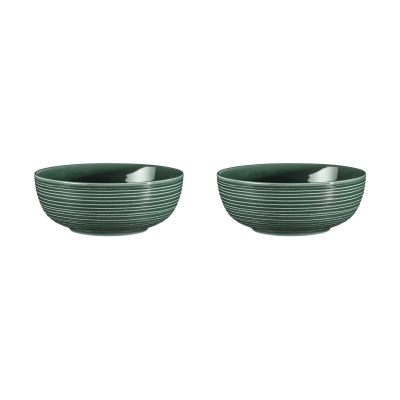 Seltmann Weiden Terra kulho Ø 20,4 cm 2-pakkaus Moss Green | Alk. 40,00 €