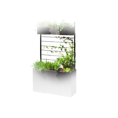 SMD Design Urban viherseinä Musta | Alk. 85,90 €
