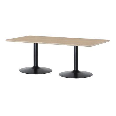 Torkelson, Davis ruokapöytä 100x210 cm valkolakattu tammi | Alk. 1 111,00 €
